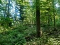 /album/fotogaleria/20210706-085304-jpg1/